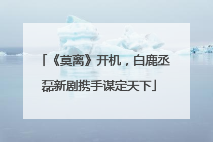 《莫离》开机，白鹿丞磊新剧携手谋定天下