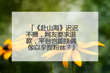 《赴山海》迟迟不播，网友要求退款，平台岂能挟偶像以拿捏粉丝？