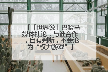 「世界说」巴哈马媒体社论：与谁合作，自有判断，不会沦为“权力游戏”
