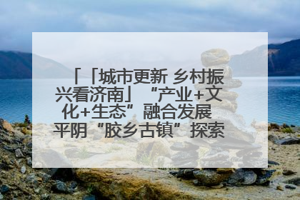 「城市更新 乡村振兴看济南」“产业+文化+生态”融合发展 平阴“胶乡古镇”探索振兴路径成效显著