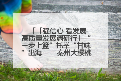 「强信心 看发展·高质量发展调研行」“三步上篮”托举“甘味”出海——秦州大樱桃高质量发展动作分解