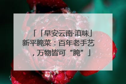 「早安云南·滇味」新平腌菜：百年老手艺，万物皆可“腌”