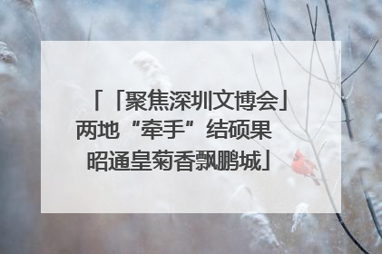 「聚焦深圳文博会」两地“牵手”结硕果 昭通皇菊香飘鹏城