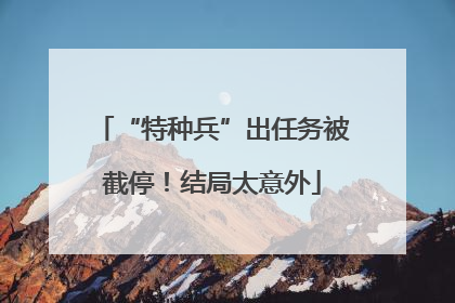 “特种兵”出任务被截停！结局太意外