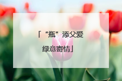 “瓶”添父爱 绿意寄情