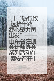 “砺行致远拾年路 凝心聚力再出发”——山东省注册会计师协会系列活动在泰安召开