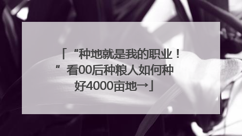 “种地就是我的职业！”看00后种粮人如何种好4000亩地→