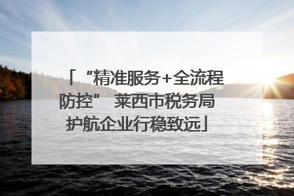 “精准服务+全流程防控” 莱西市税务局护航企业行稳致远