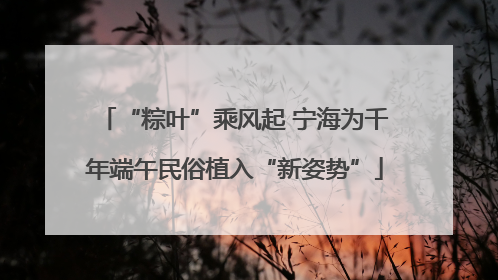 “粽叶”乘风起 宁海为千年端午民俗植入“新姿势”