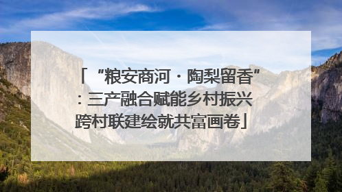 “粮安商河・陶梨留香”：三产融合赋能乡村振兴 跨村联建绘就共富画卷
