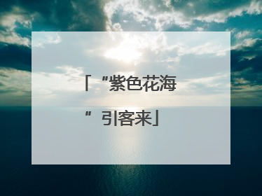 “紫色花海”引客来