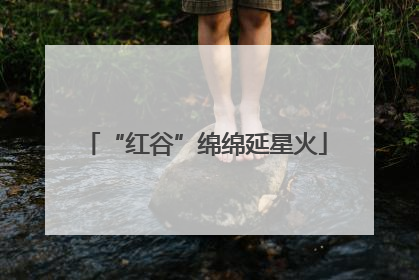 “红谷”绵绵延星火