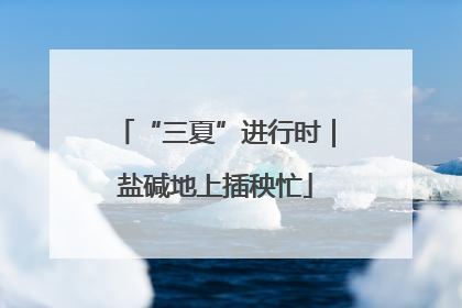 “三夏”进行时｜盐碱地上插秧忙