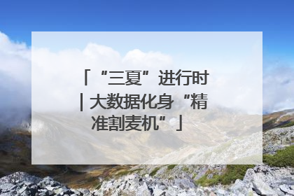 “三夏”进行时｜大数据化身“精准割麦机”