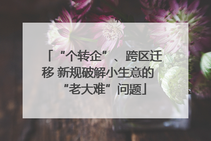 “个转企”、跨区迁移 新规破解小生意的“老大难”问题