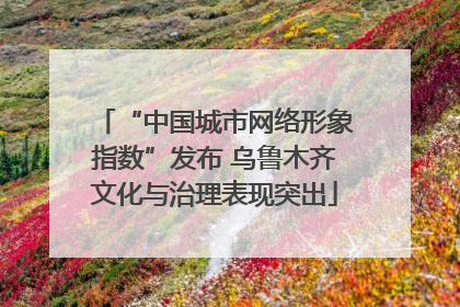 “中国城市网络形象指数”发布 乌鲁木齐文化与治理表现突出