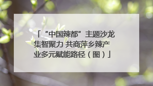 “中国辣都”主题沙龙集智聚力 共商萍乡辣产业多元赋能路径（图）
