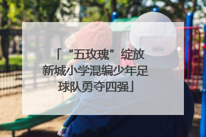 “五玫瑰”绽放 新城小学混编少年足球队勇夺四强