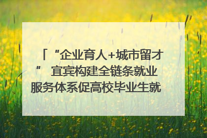 “企业育人+城市留才” 宜宾构建全链条就业服务体系促高校毕业生就业｜您牵挂的四川