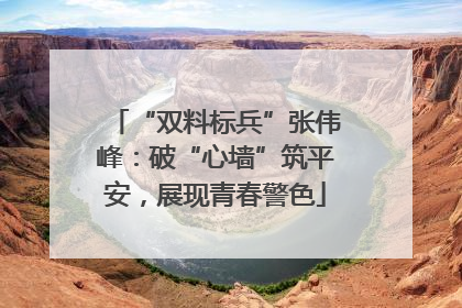 “双料标兵”张伟峰：破“心墙”筑平安，展现青春警色