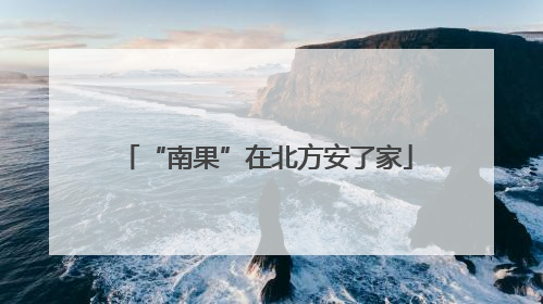 “南果”在北方安了家