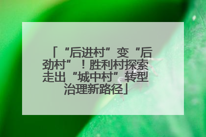 “后进村”变“后劲村”！胜利村探索走出“城中村”转型治理新路径