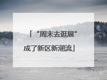 “周末去逛展”成了新区新潮流