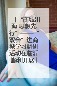 “商城出海 思想先行”——“双会”进商城学习调研活动在临沂顺利开展