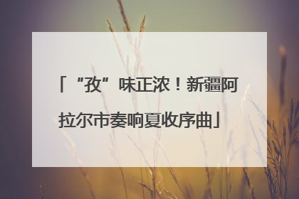 “孜”味正浓！新疆阿拉尔市奏响夏收序曲