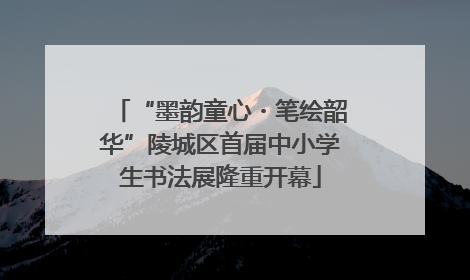 “墨韵童心・笔绘韶华”陵城区首届中小学生书法展隆重开幕