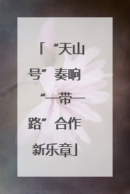“天山号”奏响“一带一路”合作新乐章
