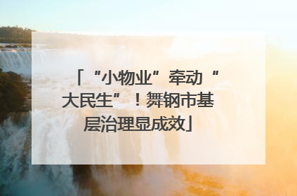 “小物业”牵动“大民生”！舞钢市基层治理显成效