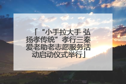 “小手拉大手 弘扬孝传统”孝行三秦爱老助老志愿服务活动启动仪式举行