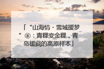 “山海情・雪域援梦”⑧：青稞变金稞，青岛援藏的高原样本