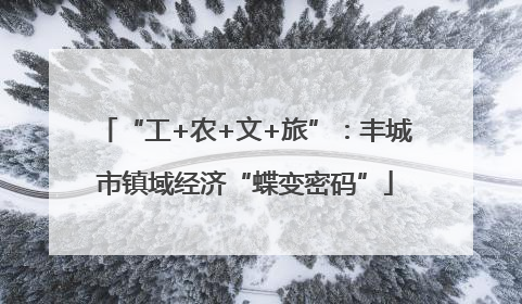 “工+农+文+旅”：丰城市镇域经济“蝶变密码”