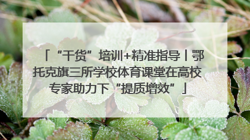 “干货”培训+精准指导丨鄂托克旗三所学校体育课堂在高校专家助力下“提质增效”