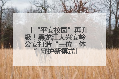 “平安校园”再升级！黑龙江大兴安岭公安打造“三位一体”守护新模式