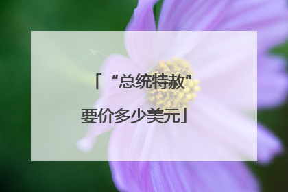 “总统特赦”要价多少美元