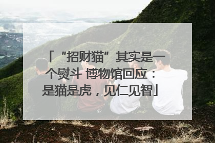 “招财猫”其实是一个熨斗 博物馆回应：是猫是虎，见仁见智