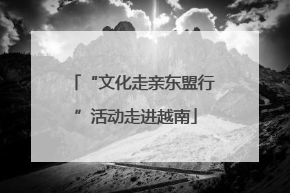 “文化走亲东盟行”活动走进越南