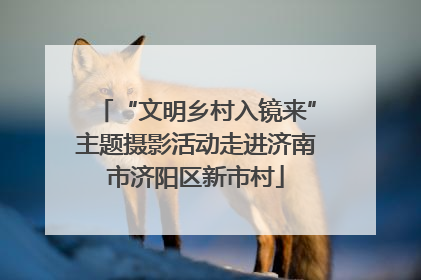 “文明乡村入镜来”主题摄影活动走进济南市济阳区新市村