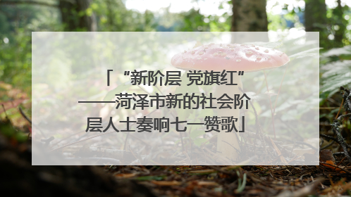 “新阶层 党旗红”——菏泽市新的社会阶层人士奏响七一赞歌