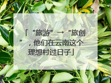 “旅游”→“旅创”，他们在云南这个理想村过日子