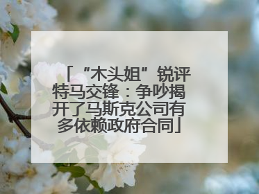 “木头姐”锐评特马交锋：争吵揭开了马斯克公司有多依赖政府合同