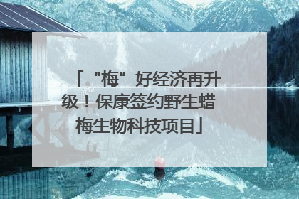 “梅”好经济再升级！保康签约野生蜡梅生物科技项目