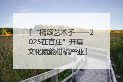 “橘颂艺术季——2025在官庄”开幕 文化赋能柑橘产业