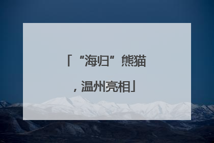 “海归”熊猫，温州亮相