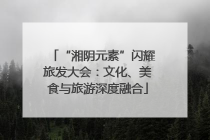 “湘阴元素”闪耀旅发大会：文化、美食与旅游深度融合