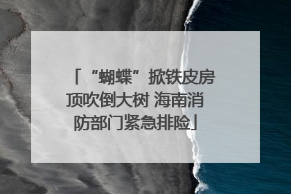 “蝴蝶”掀铁皮房顶吹倒大树 海南消防部门紧急排险