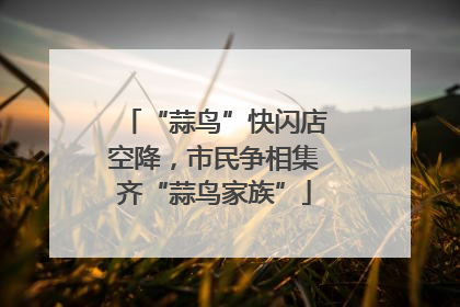 “蒜鸟”快闪店空降，市民争相集齐“蒜鸟家族”